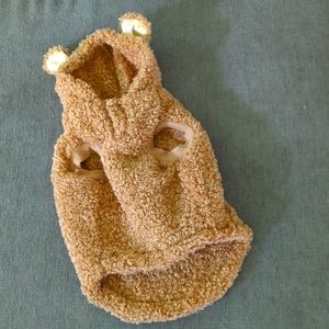 Teddy bear dog costume small